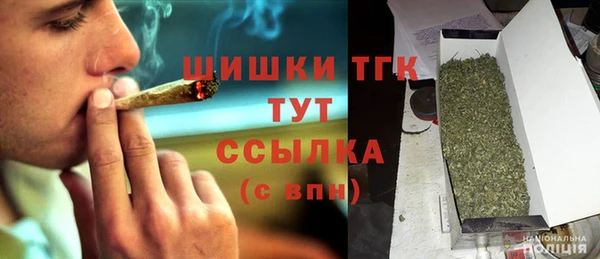 мдпв Володарск