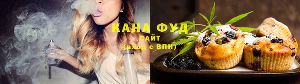 мдпв Володарск