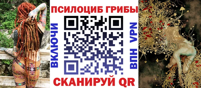 Псилоцибиновые грибы GOLDEN TEACHER  где можно купить наркотик  omg ссылка  Георгиевск 