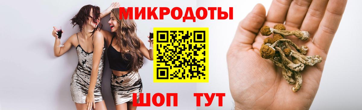 Георгиевск  Псилоцибиновые грибы ЛСД  Вход с VPN  купить  цена  Псилоцибиновые грибы GOLDEN TEACHER 